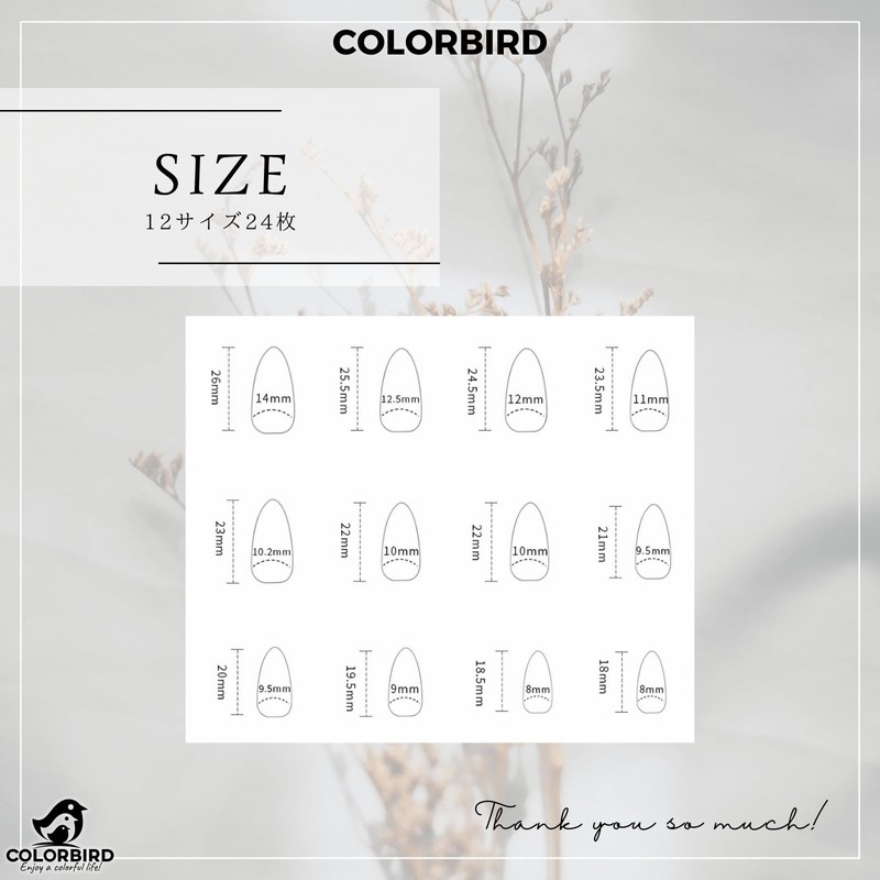 COLORBIRD Nail Tips, Short, Set of 24, Nails, Press-On Nails,