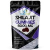 Himalayan Shilajit Gummies | 5000mg High Strength | 60 Count