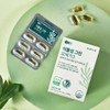 Seoul Pharmacist Shinhyup (bag) (Lactoon) Vegetable Green Omega 3 30