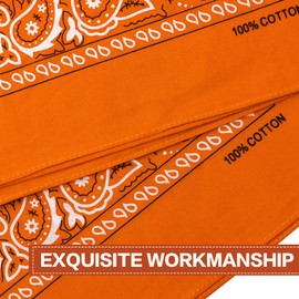 Raylarnia Bandana Multi-Purpose 100% Cotton Headbands for Women, 22 inch Paisley Cowboy Bandanas for Men