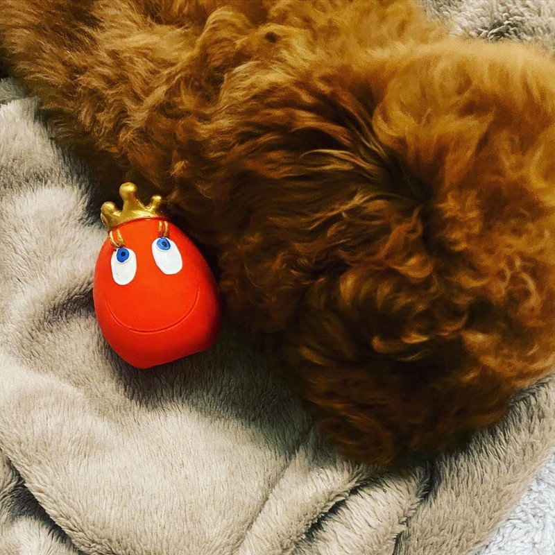 Lanco 8424678701137 King Egg Laugh; 100% Natural Rubber