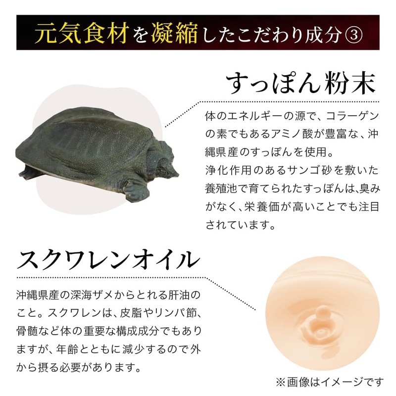 しまのや 琉球 にんにく卵黄 1袋 60球 約30日分 黒にんにく 無臭 白にんにく 有精卵