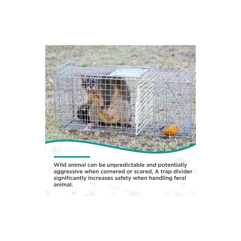 Qualirey Trap Divider Stainless Steel Small Animal Trap Fork Divider