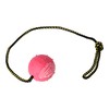 Dingo Nubby Dog Ball - Fully Rubber-Filled, with 60 cm