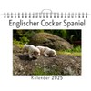 Englischer Cocker Spaniel - (Wandkalender 2025, Kalender DIN A4 quer,