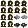 Canlierr 12 Set Employee of The Month Lapel Pin with