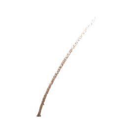 Estée Lauder Brow Now Lápiz en Gel para Cejas | Rellena, Da Forma y Define con Precisión