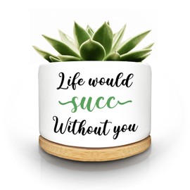 Lasimfa Funny Succulent Plant Pots, Small Ceramic Cactus Planter Pot for Indoor Outdoor, Cute White Garden Succulent Pots with Drainage Hole, Fun Pots for Plant Lover Office Home Decor Gift