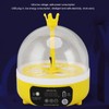 Mini Egg Incubator for Home Automatic Temperature Humidity Control 4