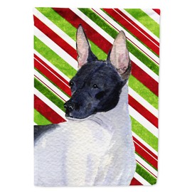 Caroline's Treasures SS4549GF Rat Terrier Candy Cane Holiday Christmas Garden Flag Mailbox Flag Decorative Yard Flag Banner Outside Patio Artwork Yard Flower Beds, Garden Size, Multicolor