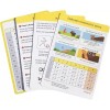 Hiragana & Katakana Flashcards - Learn The Japanese Alphabet with