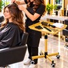 Adjustable Height Salon Trolley for Mobile Work – Large Aluminum