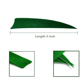 Zhan Yi Archery Fletchings Real Turkey Shield Feathers 4 Inch Full Length 50 Pack Glued Right Wing for Arrow DIY (Green)