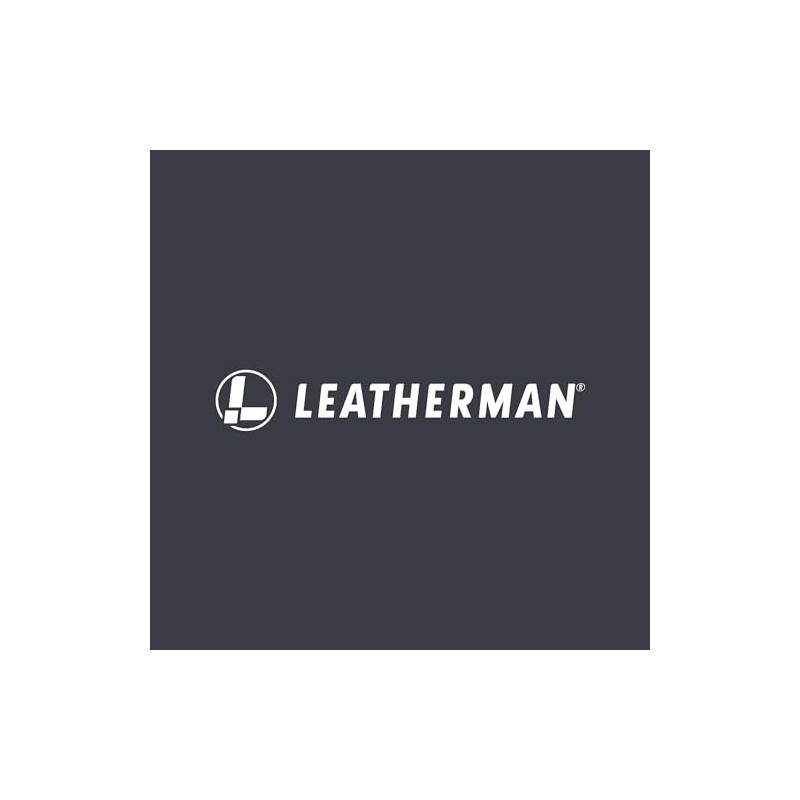 Leatherman Micra, Winter Fog