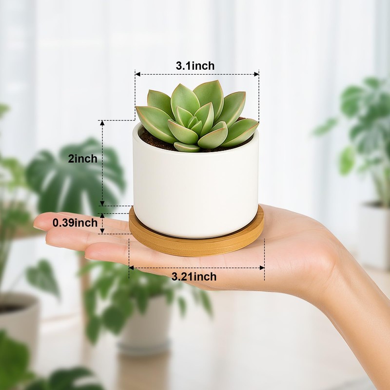 ZOUTOG Succulent Pots 3.1 Inch,8 Pack Succulent Planters,Small Pots for