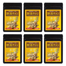 大日ヘルシーフーズ 肝源ウコン 90粒入×6袋 春ウコン 秋ウコン 紫ウコン 黒ウコン 配合 錠剤タイプ サプリ
