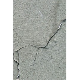 Happy Birthday Book: Happy Birthday Gifts Lined Journal Notebook (715) | Journal For Women, Friend Coworker Birthday Gifts | Funny Gag Gift | Funny ... | Romantic Gift for Girlfriend/Boyfriend