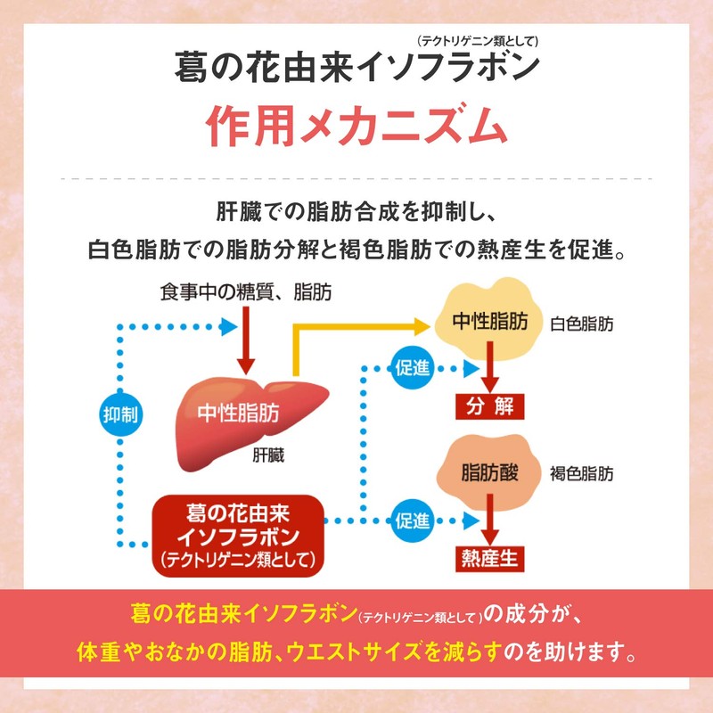 Fat Care Tablets (Grain Type), 42 Tablets (14 Day Supply)