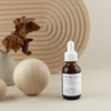 AHABAHA Dipanthenol Ampoule ✨ Millet skin troubles out / 아하바하