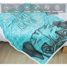Famitile Pug Kids Sherpa Fleece Throw Blanket, Cute Cartoon Pug Plush Throw Blanket Super Soft Warm Bed Sofa Chair Throw for Kids and Adults (Pug-1, 47" x 60")