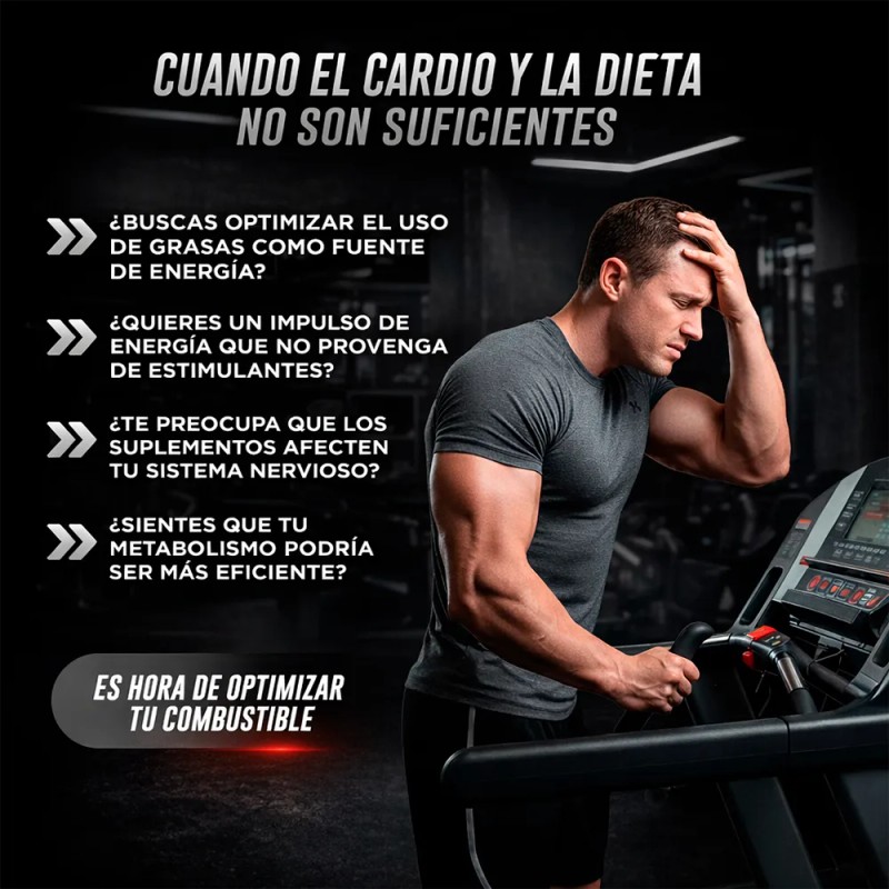 L-carnitina Pura 1200mg | 200 Cápsulas | Testrol Essential Sin