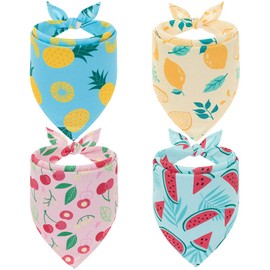 EXPAWLORER - Juego de 4 bandanas refrescantes para perros hawaianos, bufandas triangulares de verano con bonitos patrones de frutas para perros pequeños, medianos y grandes, talla XL