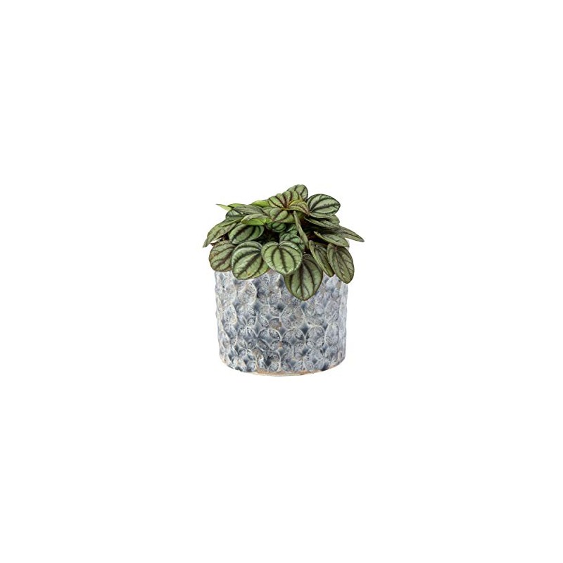 Ivyline Terni Planter Denim D14Cm H13Cm