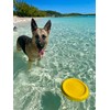 Bluewater Dog Flying Disc Soft Dog Toy, Floats in Water