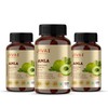 JIVA Amla Tablet - Pure Herbs Used | Rich in