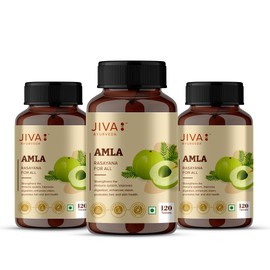 JIVA Amla Tablet - Pure Herbs Used | Rich in Vitamin C | Rich in Antioxidants | Pure Herbal Supplement - 120 Tablets (Pack of 3)
