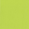 PAPSTAR Napkins 2-Ply 40 x 40 cm / Light Green