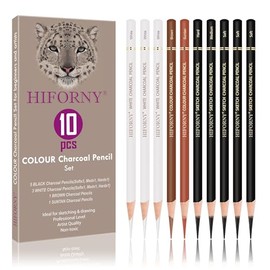 HIFORNY - 10 lápices de color carbón para dibujar, lápices de carbón blanco y negro para bocetos, sombreado, mezcla, retrato, ideal para principiantes