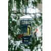 Squirrel Buster Suet Squirrel-Proof Suet Bird Feeder with Two Suet