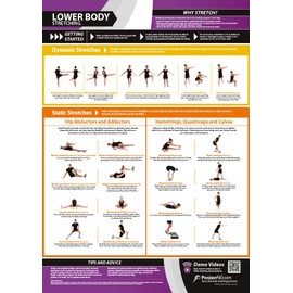 Lower Body Stretching | Dynamic & Static Stretches | Laminated Home & Gym Poster | FREE Online Video Training Support | Size - 33” x 23.5” | Improves Personal Fitness & Flexibility