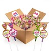 Fruit Lollipops - 6 Pound Bulk Box (About 108 Count)