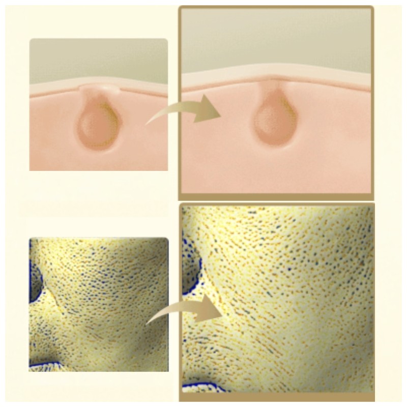 ABIB Lifting Collagen Wrapping Mask - Jericho Rose Film 100ml