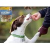 Duck Jerky Dogs Chewy Training Treats Food | Oven Roasted