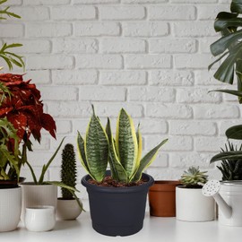 Whitefurze G01R35 35cm Milano Round Planter - Gunmetal Grey