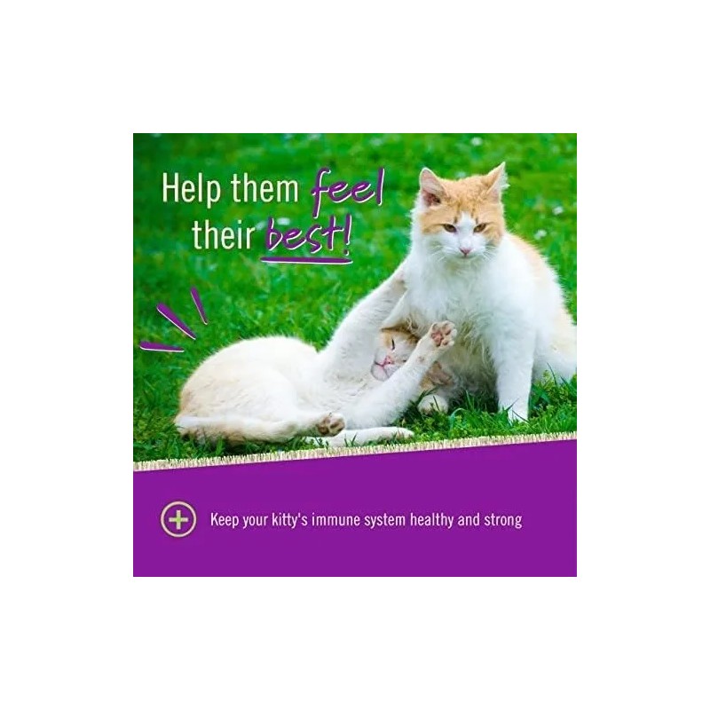 Lisina Masticable Para Gatos Apoyo Inmunologico 60pz