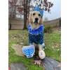 Midlee Menorah Sugar Cookie Dog Toy (Large)