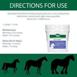 Stance Equitec GastroBuf - Normal Stomach pH Support - Horse Supplement- Helps Support Protective Layer in The Bowel, Support Proper pH Under Occasional Gastric Distress, Contains Turmeric - 3.5 lb
