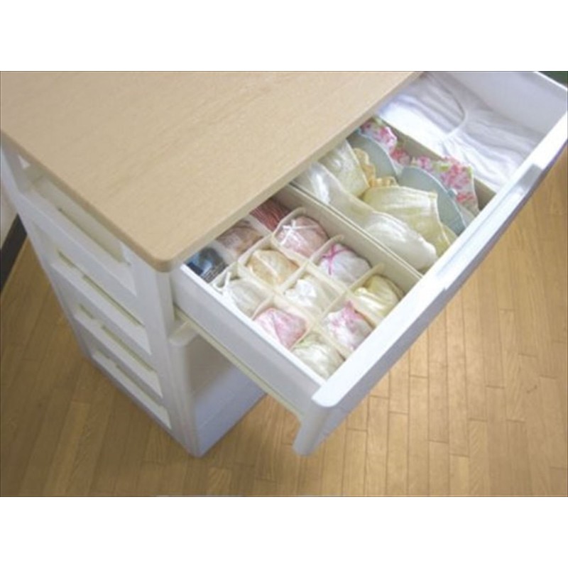 Toyo Case Partitioned Storage Box;