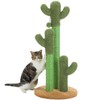 PAWZ Road Cat Scratching Post Cactus Cat Scratcher Featuring with