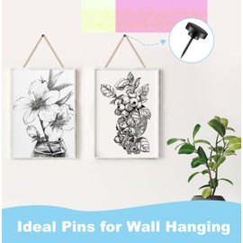 Push Pin 30 Pcs, Metal Thumb Tacks for Wall Hanging Pictures, Wall Pins for Board Posters Bulletin Maps, Black Decorative Push Pins for Home, Office