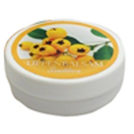 Lanolin Lippenbalsam Sanddorn, Florex, 10 g