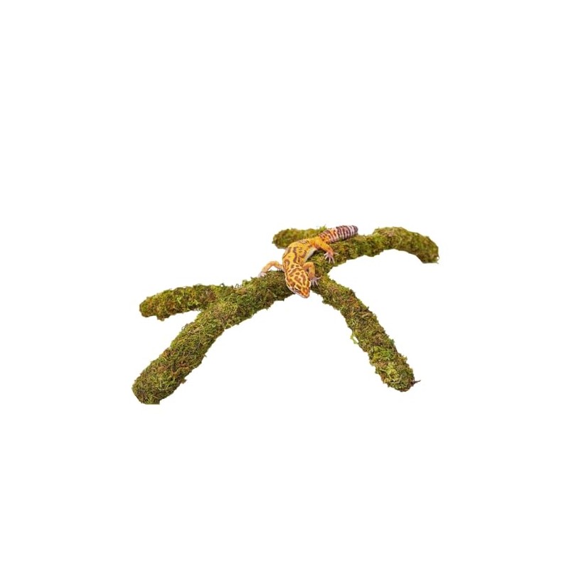 Leopard Gecko Tank Accessories, Adjustable Climbing Toys Supplies, Terrarium Habitat