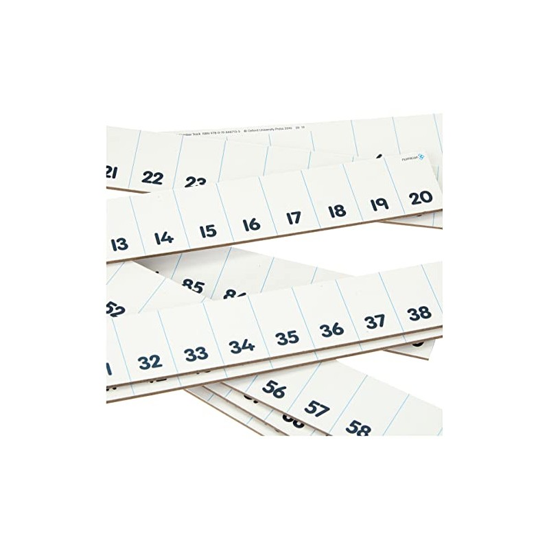 Numicon: Card 1-100 Number Track