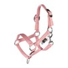 HKM Hobby Horsing Halter Set Basic Halter and Rope for