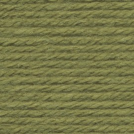 (3 Pack) Lion Brand Yarn Vanna's Choice Yarn, Dusty Green