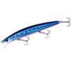 DUO Lure Lance Tido Minnow Lure, Hokkaido Limited, 110S Santan